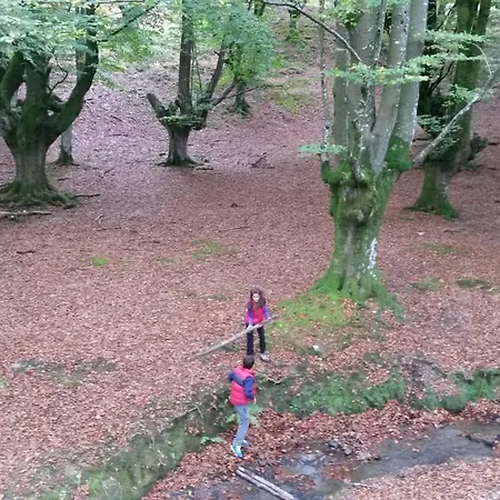 Andramari Tourist Parking& Wifi