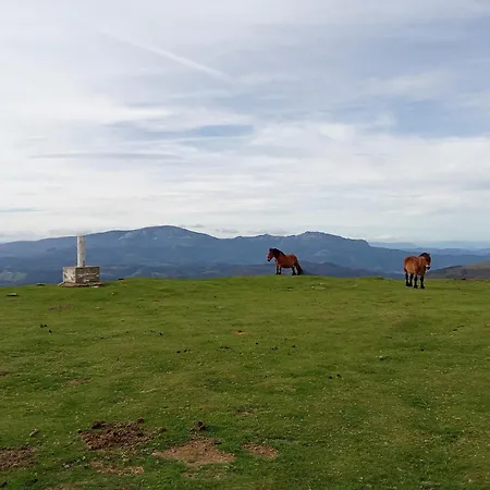 Апартаменты Andramari Tourist Parking& Wifi