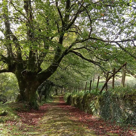 Andramari Tourist Parking& Wifi